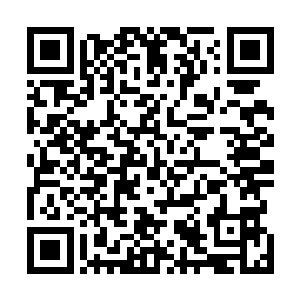 无论用这个角色做什么事情对张铁来说都没有任何的压力二维码生成