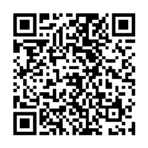 无论白伶儿对我本人如何人身攻击都撩拨不了我的情绪二维码生成