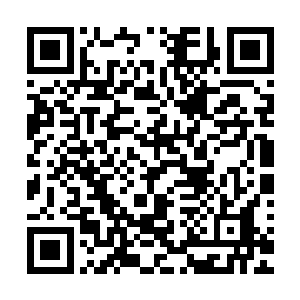 既然回到家族也很有可能会被处死或者落得个生不如死的境地二维码生成