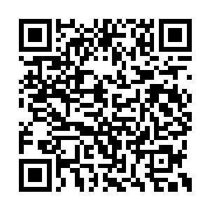 既然她不把自己当姐姐甚至想把自己和娘亲害死二维码生成