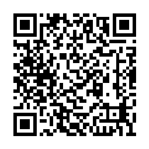 既然秦先生说了去自卫队基地那就去自卫队基地二维码生成