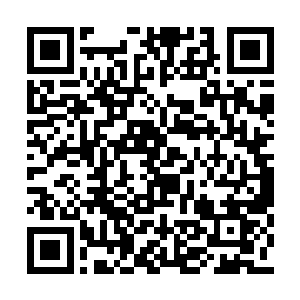 既然这茅草屋可以抵挡仙王之下的所有能量攻击二维码生成