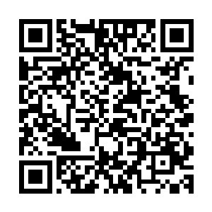既然金在珉本人都不在意演出费的事情他们又何必耿耿于怀呢二维码生成