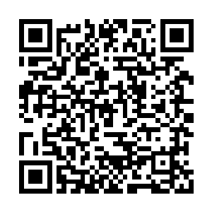 既然陆希令连陆希大帝血液变化的老者都能镇压二维码生成