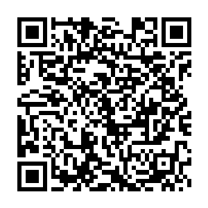 日后她能不能当上厉王妃还要靠这个小家伙在厉王面前多说她的好话呢二维码生成