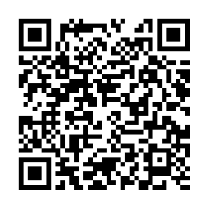 日后老猫必定会让山神来一次更新大爆发答谢大家二维码生成