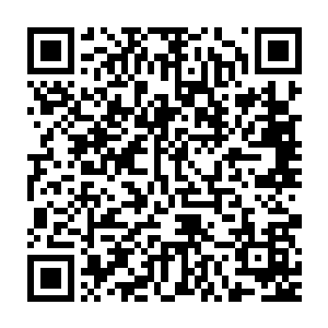 日本电视台的嘉宾出席节目表示只要日本队能够解决遏制荣光这一点二维码生成