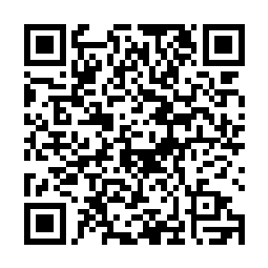 日记本里部分内容的祝天养十分清楚这个日记本的分量二维码生成