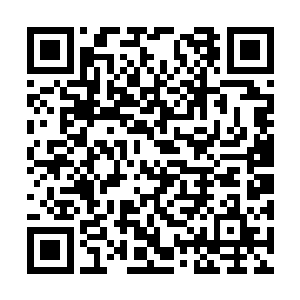 早就习惯了秦洛身边形形色色性格迥异的女孩子了二维码生成