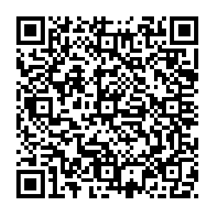 早年先后在泰国清迈大学和美国肯塔基州立大学取得政治学学士和政治学硕士学位二维码生成
