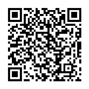 早知如此当初怎么的都该阻止陛下把人交给监察右部去查二维码生成