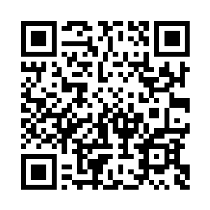 时而古灵精怪时而笨呼呼的熊小宝二维码生成