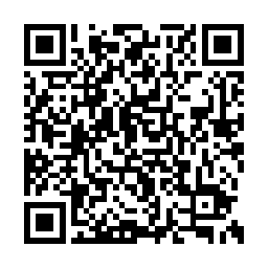 明天中午我爸我妈要去参加一个同事子女的婚礼二维码生成