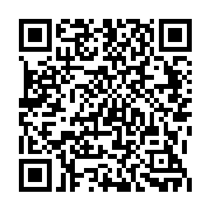 明天回去的时候我想这个钱就差不多可以到位了二维码生成