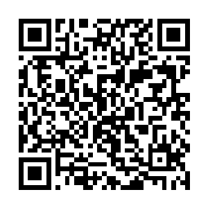 明天我看看局里安排哪个局长跟您去中医院宣布任命二维码生成