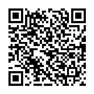 明帝没有丝毫犹豫的将双手护在了自己的小腹之上二维码生成