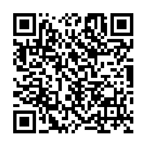 明白了为何会派两个实力普通的公爵去执行如此重要任务二维码生成
