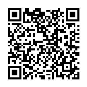 明知帮司倾泪他们预言你们在暹帝墓计划的人是我二维码生成