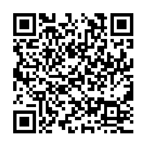 昏暗的灯光衬着窗外的月色交织成一片冰冷的银纱二维码生成