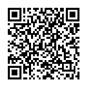 星际网会另外派出审核者来审核你所在世界的文明程度二维码生成