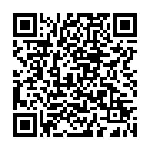 昨天我已经委托在国内的侍从官去调查吴的情况了二维码生成