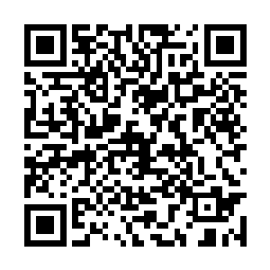 昨天还算清澈无比的河流现在已经彻底的浑浊起来二维码生成