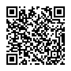 昨晚龙哥被强化血尸一巴掌震飞的场面还历历在目二维码生成