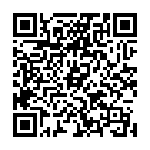 是一个僵尸正拿着一只鸡嘴巴刚咬破那鸡的喉咙正准备吸血二维码生成