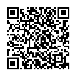是为了让你们学会利用地形以及其他一切可以利用的遮蔽和掩护二维码生成
