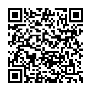 是从很小的时候就被蒋家负责培训她们的人现的二维码生成