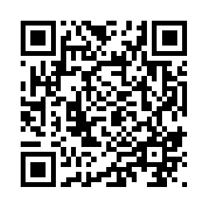 是区别于接下来就要展开的普通移民政策的二维码生成