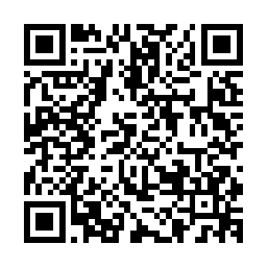 是华夏某个朝代的统治者爱新觉罗家族的一个大书法家题的字二维码生成