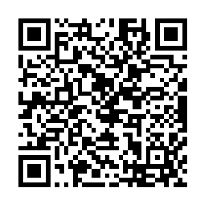 是南方省组织部在中央党校举办的第三期新任处级干部培训二维码生成
