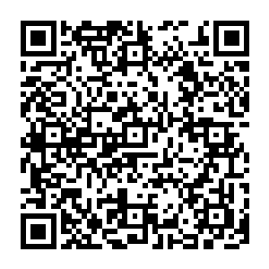 是否已经有了任何可以证明公司在美国进行包括贿赂在内的不法手段以达到垄断目的的证据二维码生成