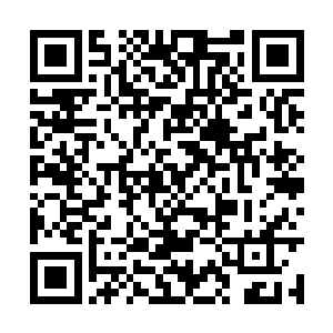 是因为他想要利用你来名正言顺的推翻现在的皇帝二维码生成