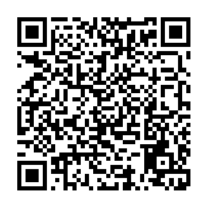是因为我们在羿界域隔无恒界不远的一个界土上发现了一条大型灵境矿脉二维码生成