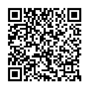 是因为杨天武留的暗哨本身就是跟踪监视的专家二维码生成