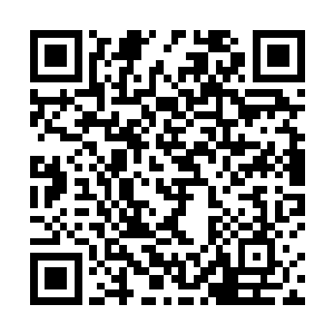 是因为胡明和俞白在确定开业典礼及秋拍会思路的时候二维码生成