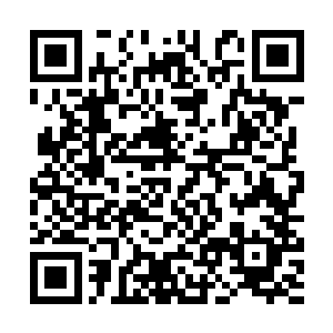 是因为这个技能乃b级格斗专精方能学习的消耗技二维码生成