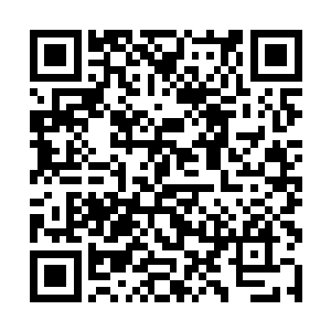 是因为里贝里已经可以完全取代荣光的位置和作用了二维码生成