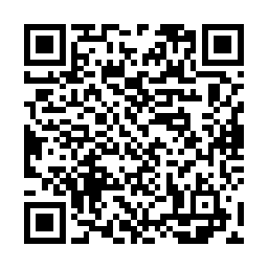 是国内中青年艺术家们一次非正式但也特别重要的比赛二维码生成
