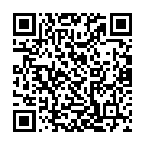 是国际复仇者联盟驻中国靠山屯办事处二级特工科员二维码生成