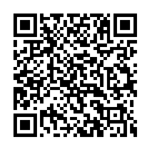 是来参加公司这边组织的相关宣传和发行会议的二维码生成