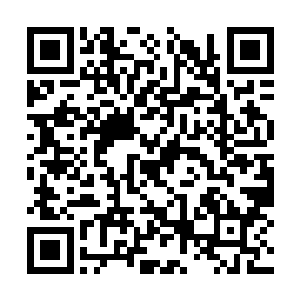 是此次东域人榜排名战开战以来最强大的一次战斗二维码生成