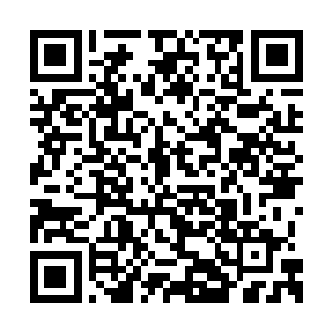 是比姐姐放下手中工作到现场来给自己加油助威二维码生成