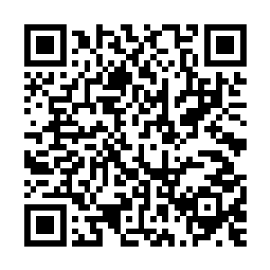 是由实验弹药有限公司和行动制造公司为12号口径霰弹枪研制的二维码生成