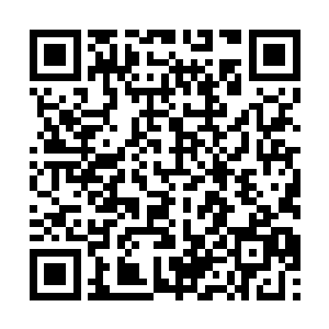 是由B5号选手阿洛梅洛维奇对阵B10号选手毛里西奥二维码生成