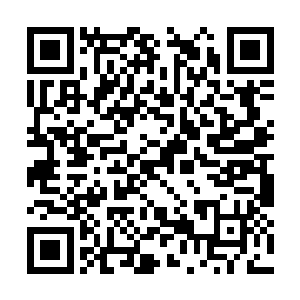 是老妈和高浪华他们动用了关系给他们又找了一份二维码生成