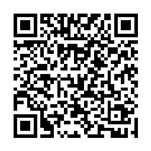 是要一个可爱的小侄女还是要无情师太一脉的大力支持二维码生成