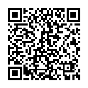 是让我们剑宗那些不成器的弟子有个学习的版样二维码生成